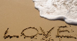 Dear Dee Contemplates Love