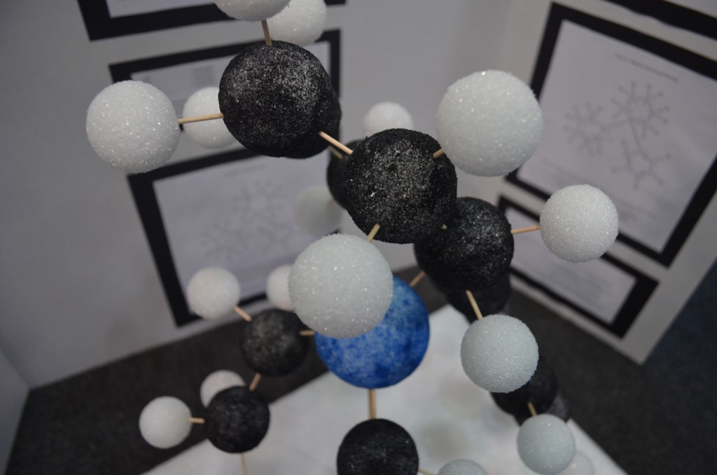 Molecules Inhabit the Terry Center