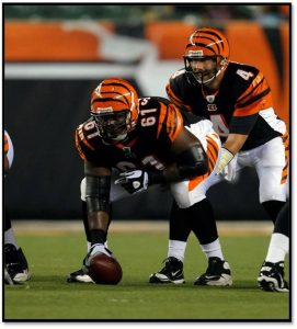 Bengals