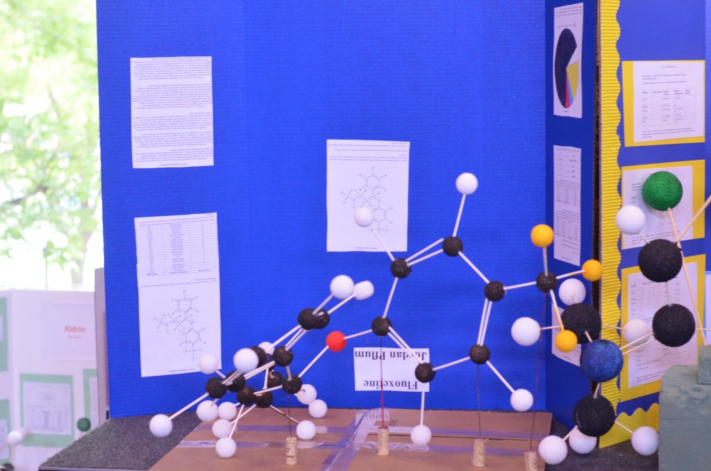 Sophomores Complete the Molecule Project