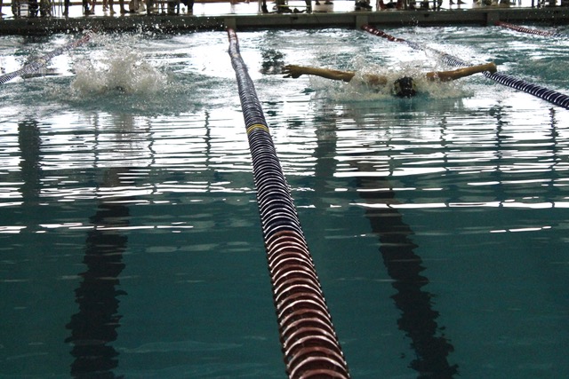 Swim Team Flies through the Competition