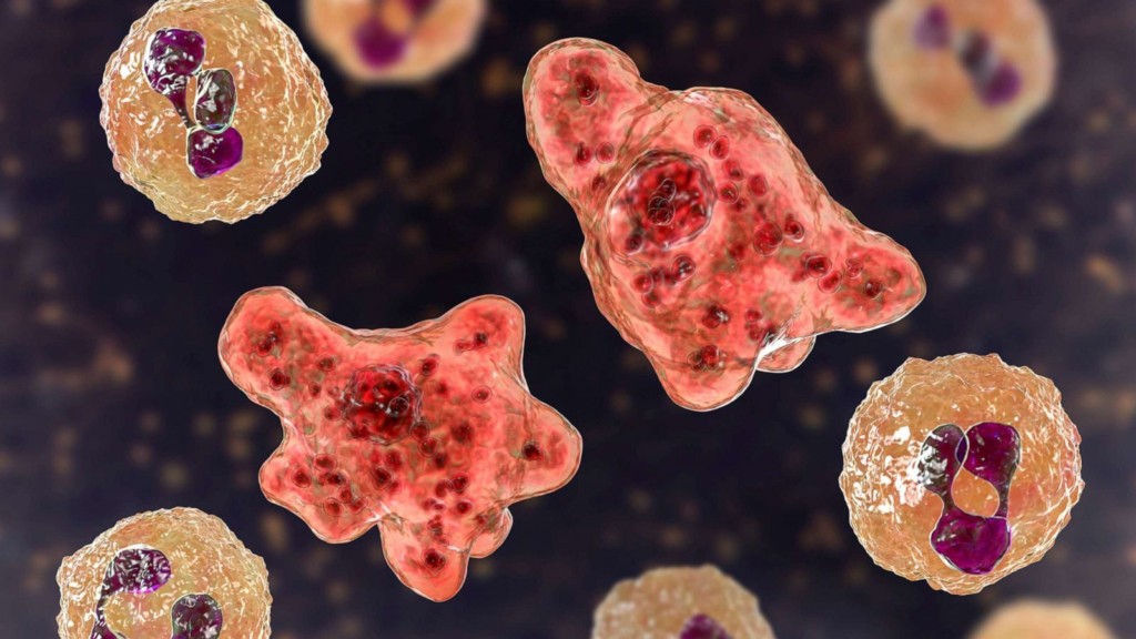 Texas Declares Disaster After Brain-eating Amoeba is Found in Water Supply